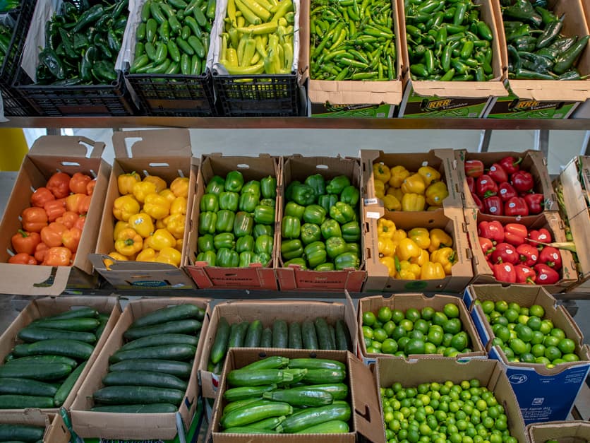 Verduras frescas